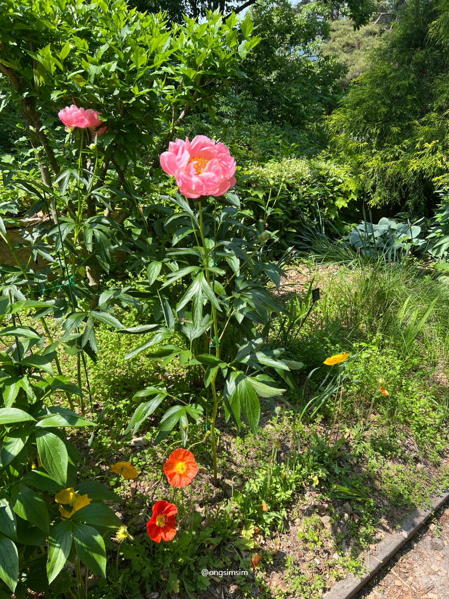 구례수목원 사진 6