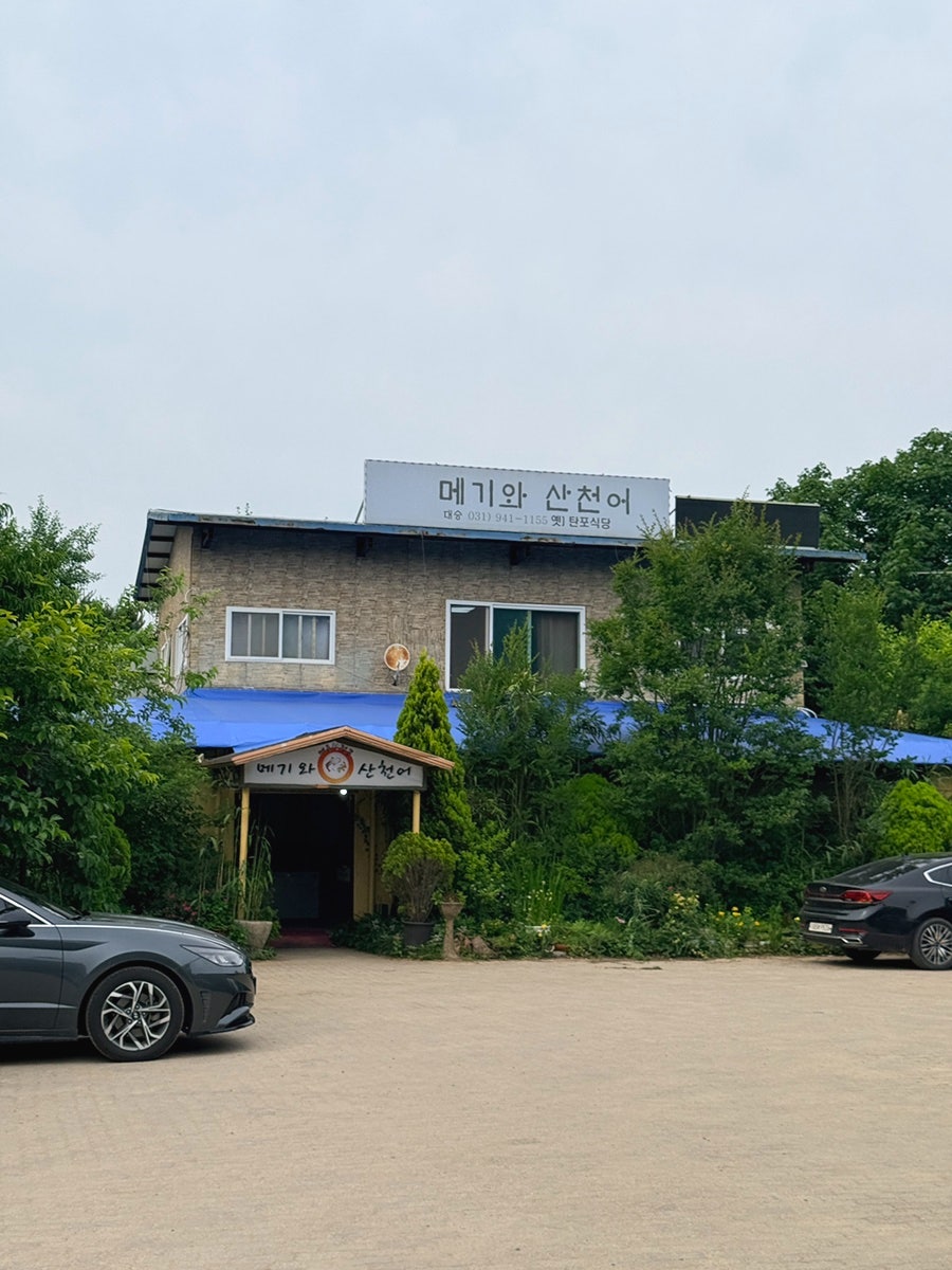 메기와산천어 사진 2