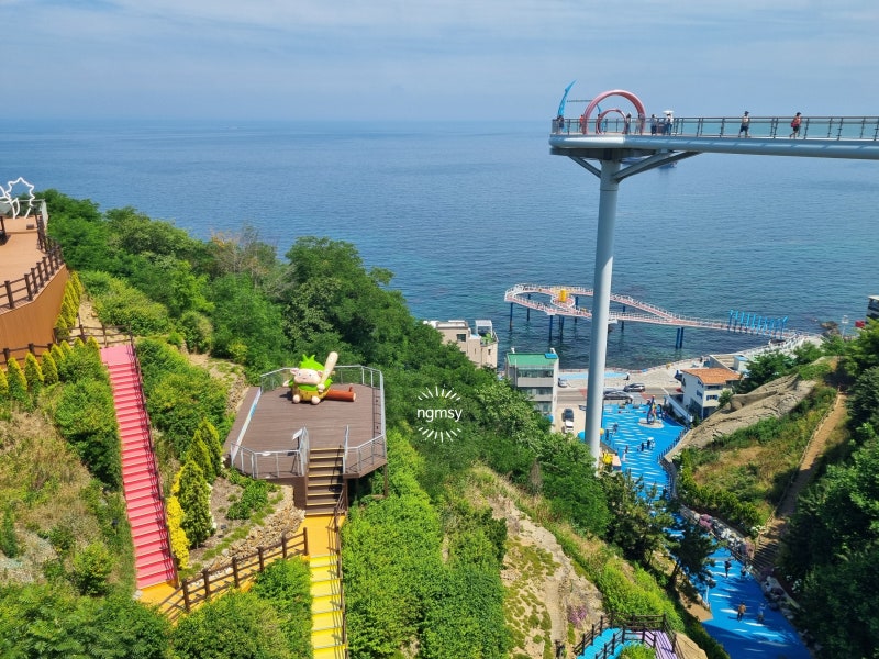 동해시 여행 가볼만한 곳 동해 스카이워크 '도째비골 스카이밸리'와 동해 해랑전망대 '도째....