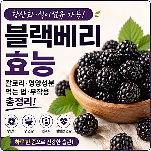 블랙베리 효능 및 칼로리, (영양성분, 부작용, 고지혈증, 섭취량) 정리
