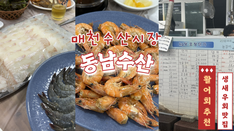 [매천동맛집] 대구 매천 수산시장 활어 생새우회 동남수산