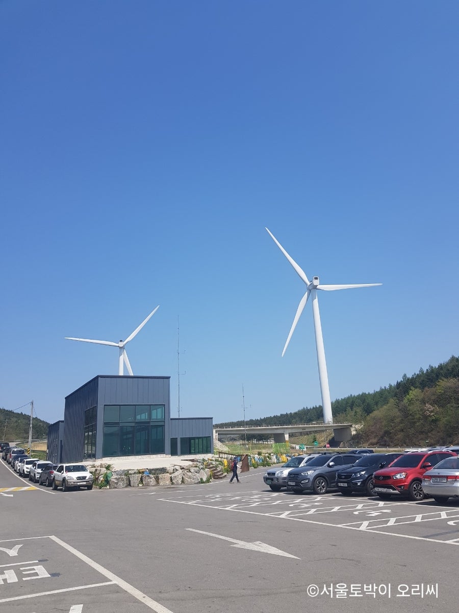 강릉샌드 대관령 양떼목장점 사진 2