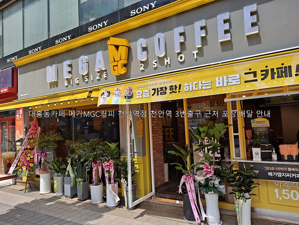 메가MGC커피 성환역점 사진 1