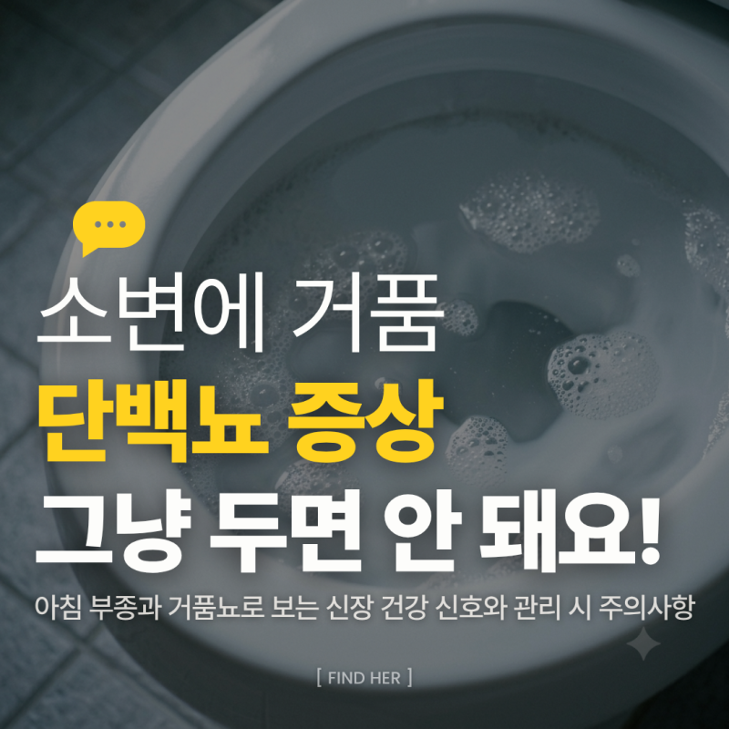 단백뇨 증상, 소변 거품이 안 사라져도 신장 질환일까요? 5가지 체크리스트와 필수 검사법