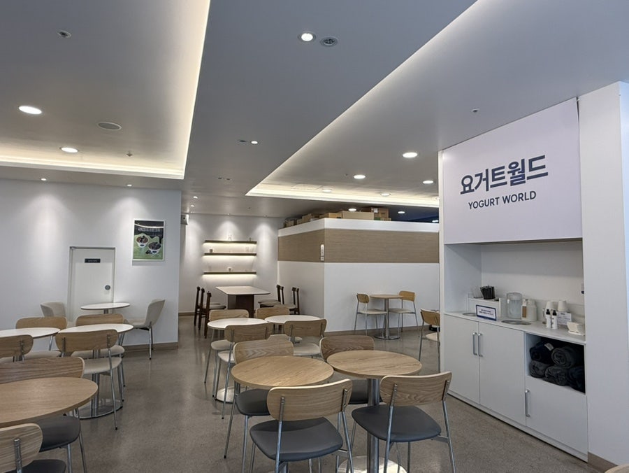 요거트월드 인천직영점 사진 3