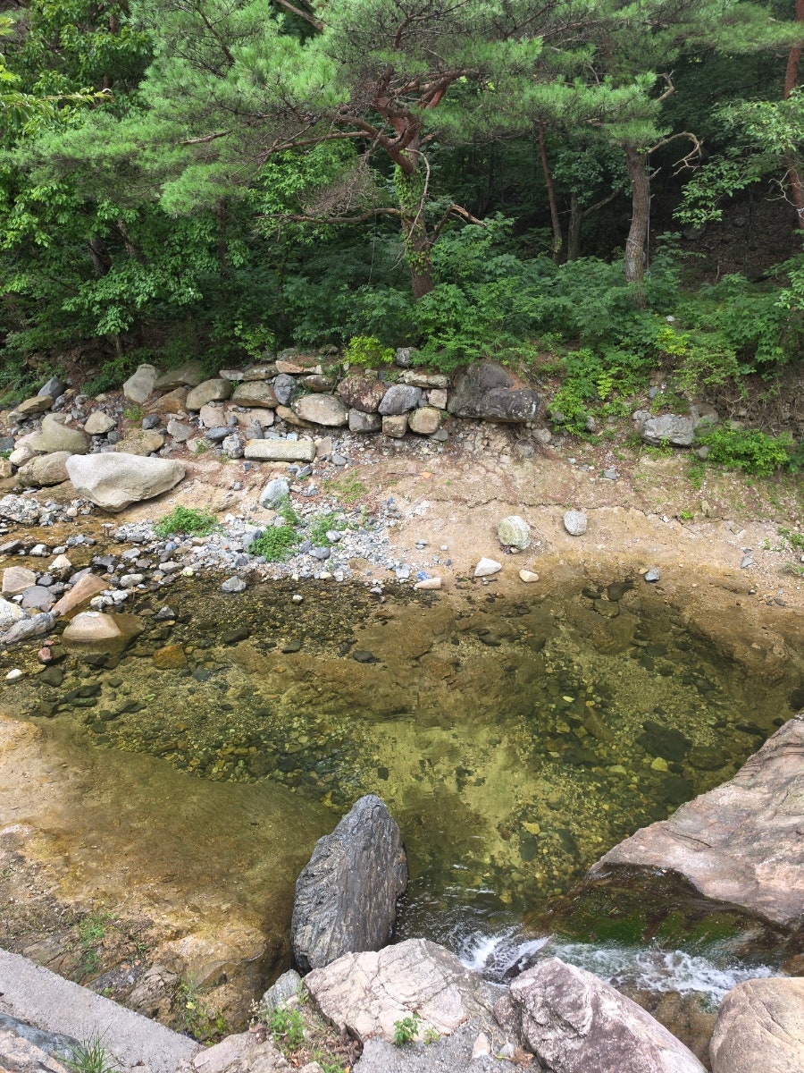 감나무산장 사진 4
