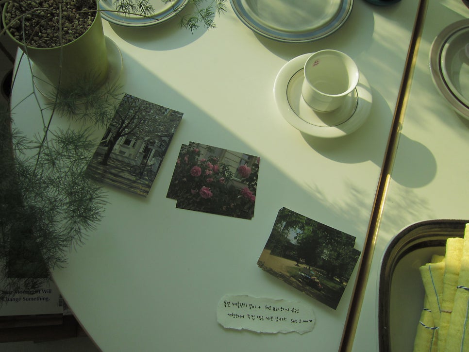 칠윗유 사진 6