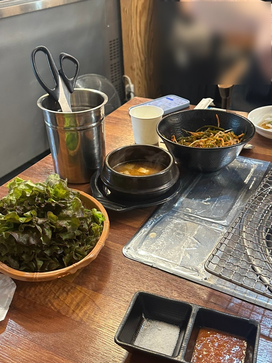 동탄갈매기 사진 6