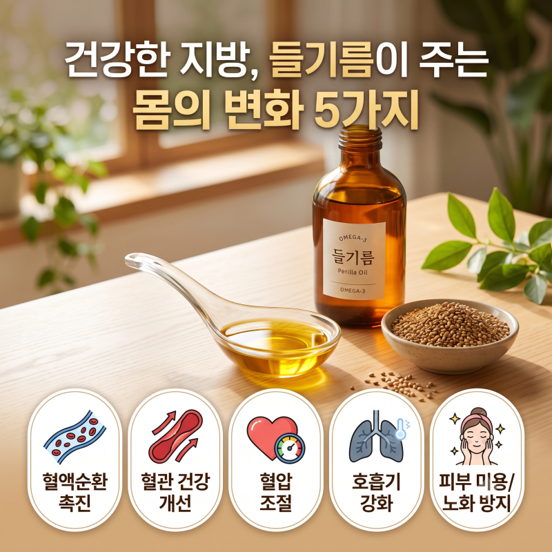 [라이프와이즈] 건강한 불포화지방 들기름 효능과 부작용, 참기름 비교 및 산패 없는 보관법 ....