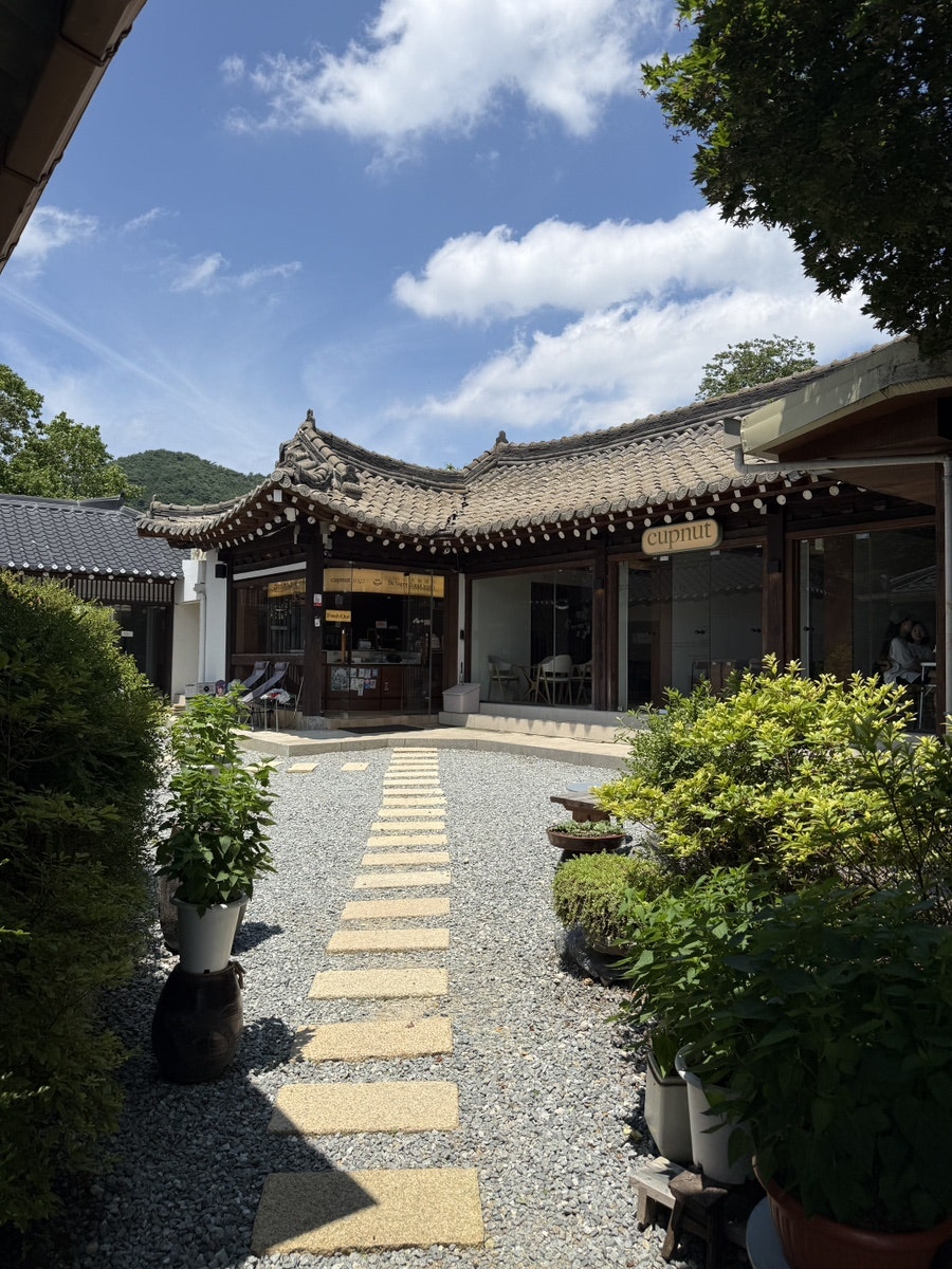 컵넛 청주상당산성점 사진 3