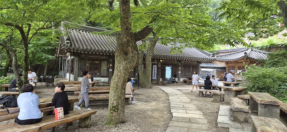 죽림다원 사진 3