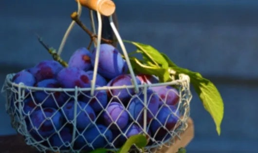 수복회관 사진 4