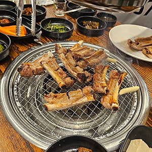 대전 한화생명볼파크 주변 쪽갈비 맛집 머시기쪽갈비/박세리 대전맛집 대전통닭 방문솔직후....