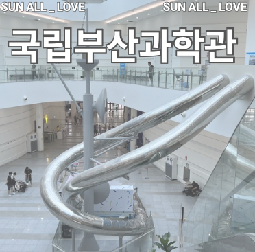 부산 국립부산과학관 방문후기 | 부산 실내 비오는날 여름방학 아이와 가볼 만한 곳