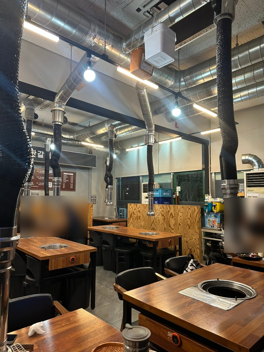 동탄갈매기 사진 2