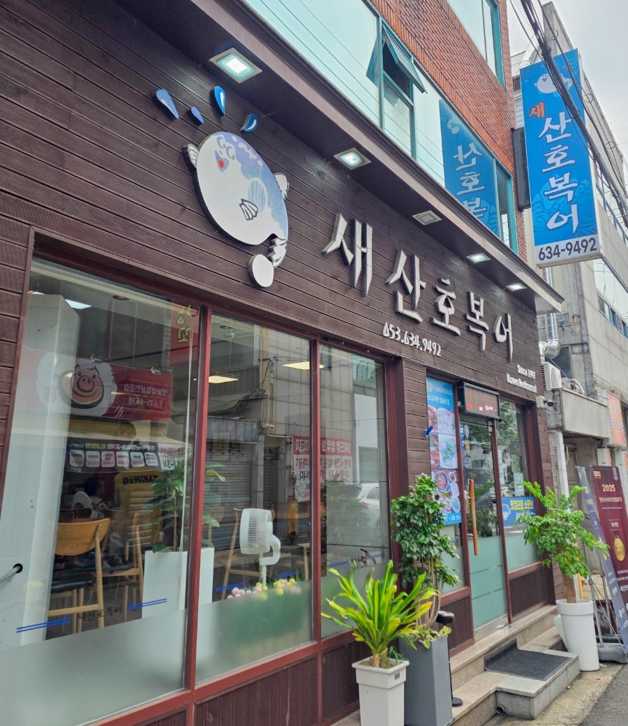 새산호복어 사진 2
