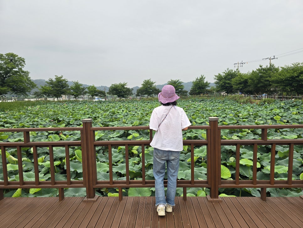 수춘제 사진 6