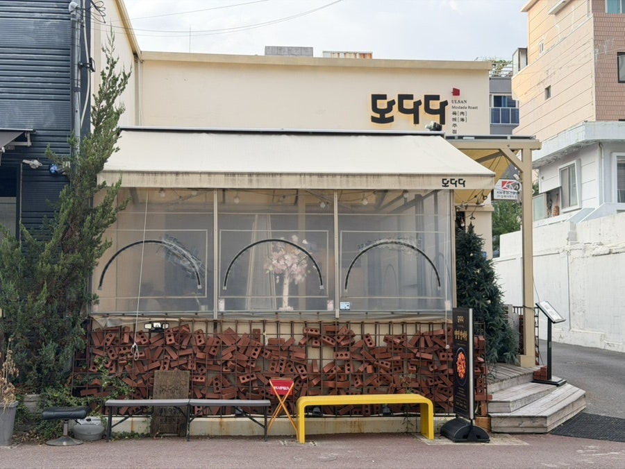모다다 사진 1