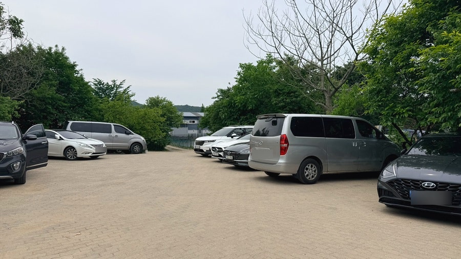 메기와산천어 사진 5