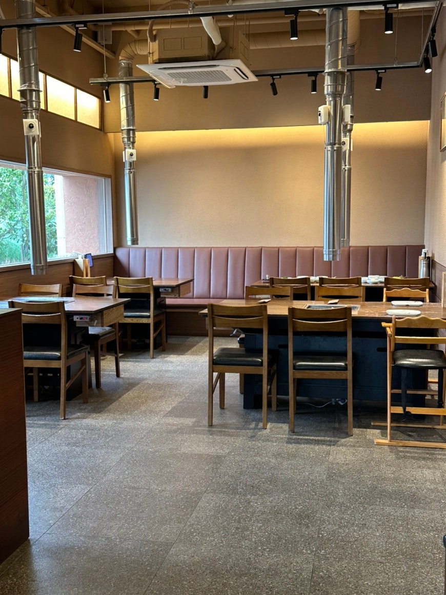 도야지 사진 4
