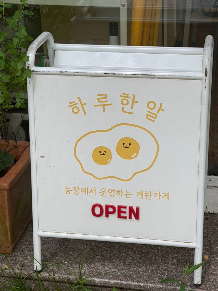 하루한알 사진 2