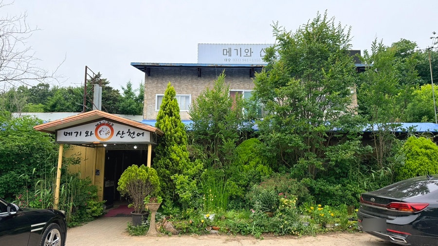 메기와산천어 사진 3