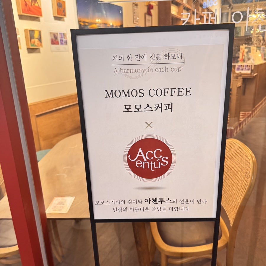 아첸투스 사진 3