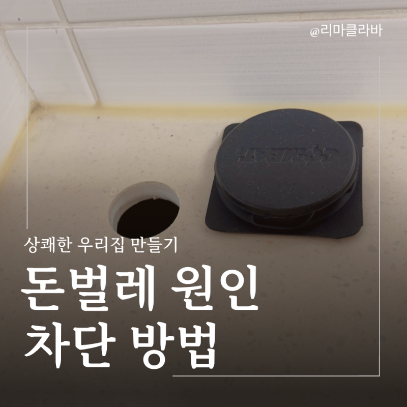 돈벌레 퇴치 생기는 이유와 원인, 차단하는 살림 꿀팁