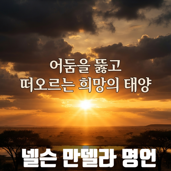 "27년을 감옥에서 보냈는데 어떻게?"불가능을 기적으로 바꾼 넬슨 만델라 명언