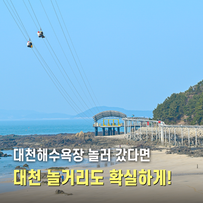 보령 대천가볼만한곳 대천놀거리 BEST4 레일바이크 스카이바이크 짚라인 죽도 상화원