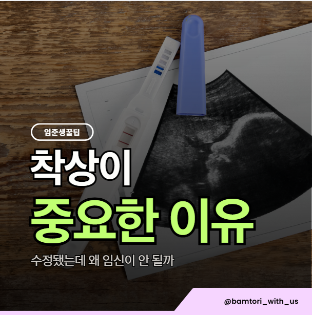 수정은 됐는데 왜 착상이 안 될까요 꼭 알아야 할 원인