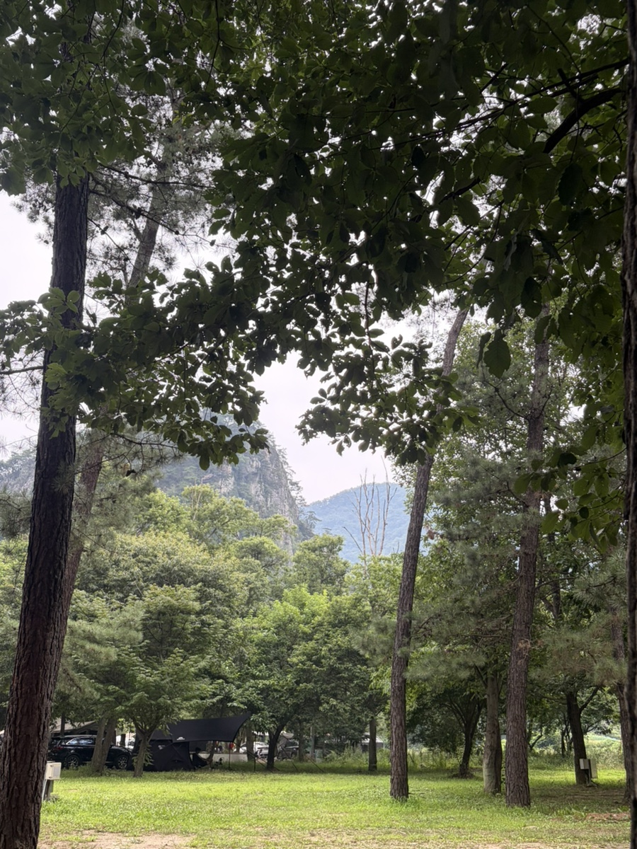 청산캠핑장 사진 4