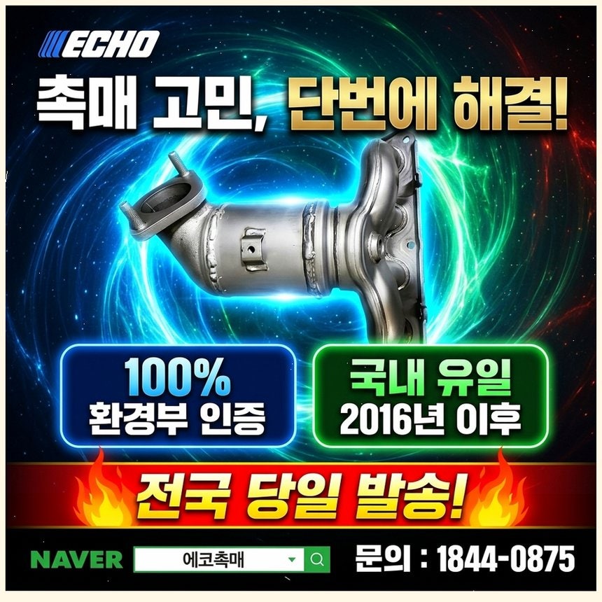 망월동 사진 3