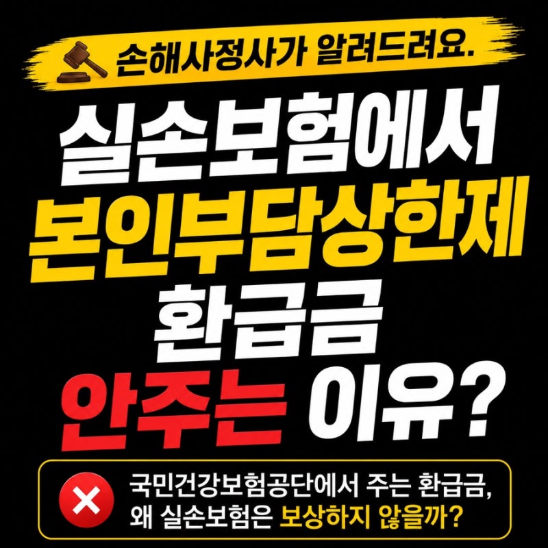 실손보험에서 본인부담상한제 환급금을 보상하지 않는 이유