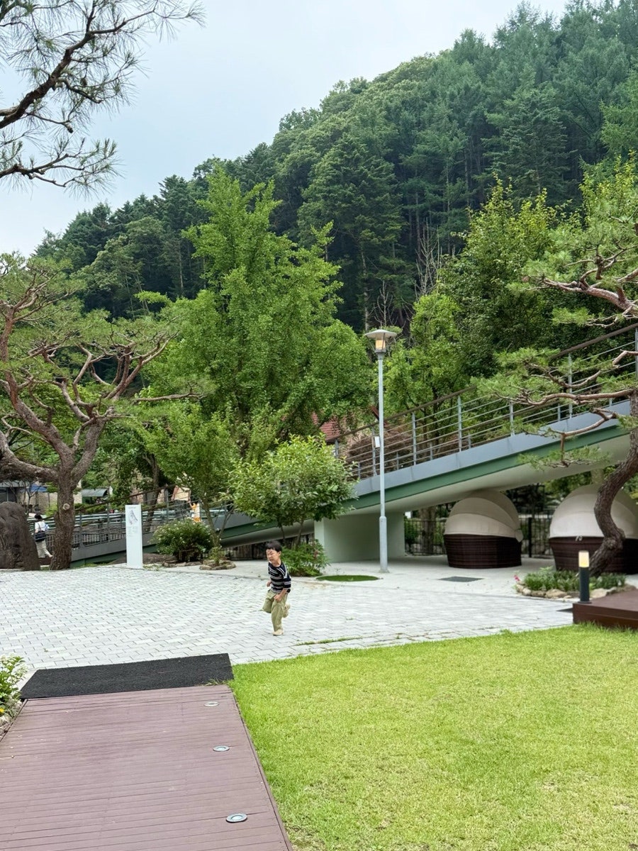 브런치 카페 물러남 사진 5