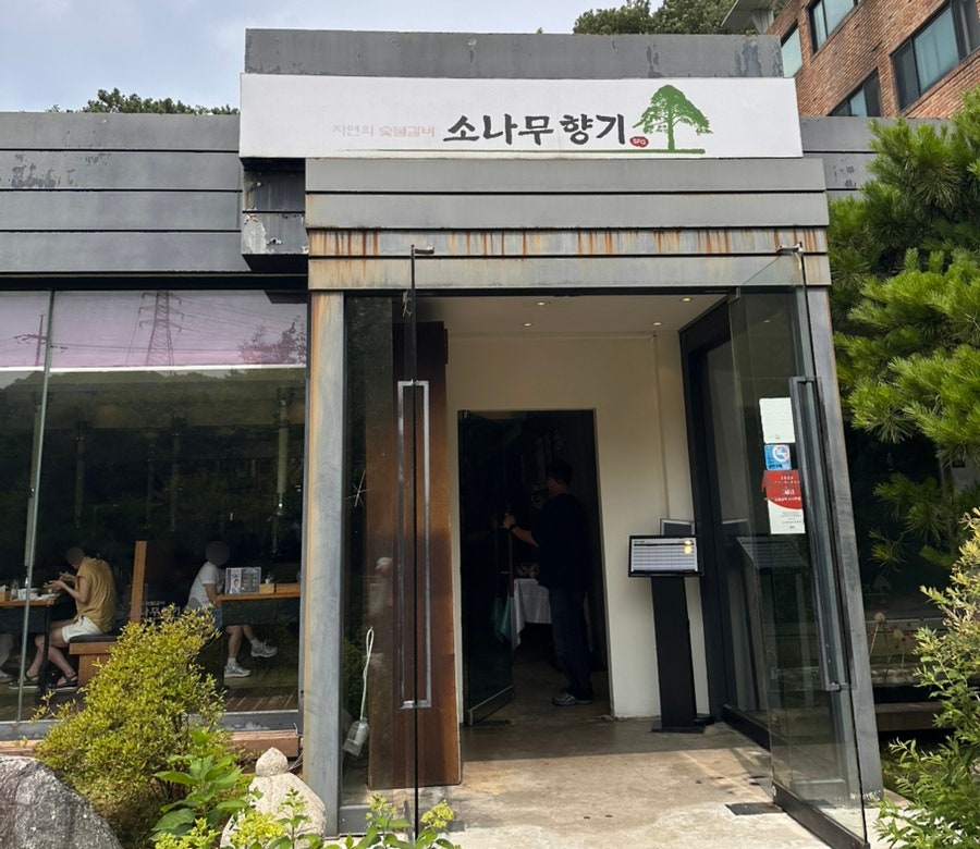 소나무향기 사진 1