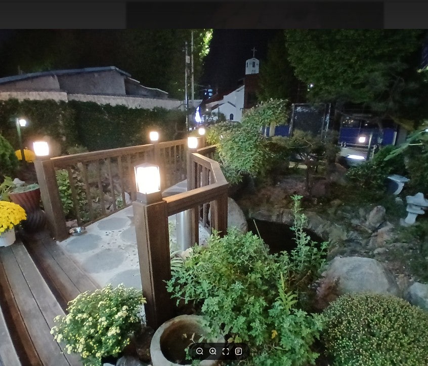 청죽 사진 3