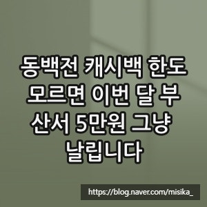 동백전 캐시백 한도, 모르면 이번 달 부산서 5만원 그냥 날립니다