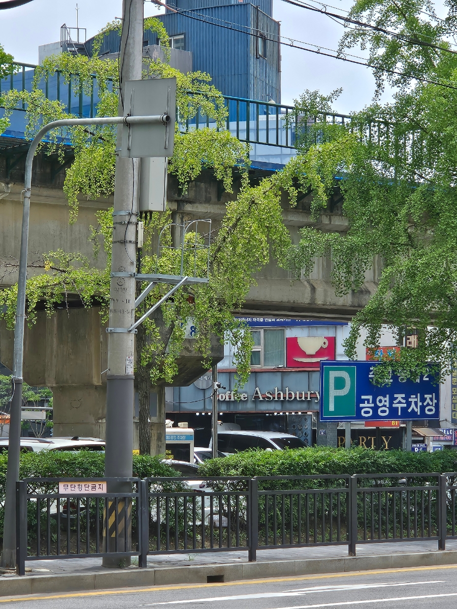 차이윤 사진 6