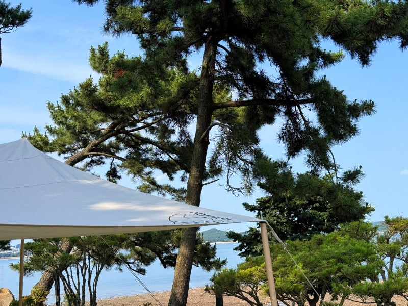 서산벌천포캠핑장 서해바다캠핑 오션뷰 명당 구역
