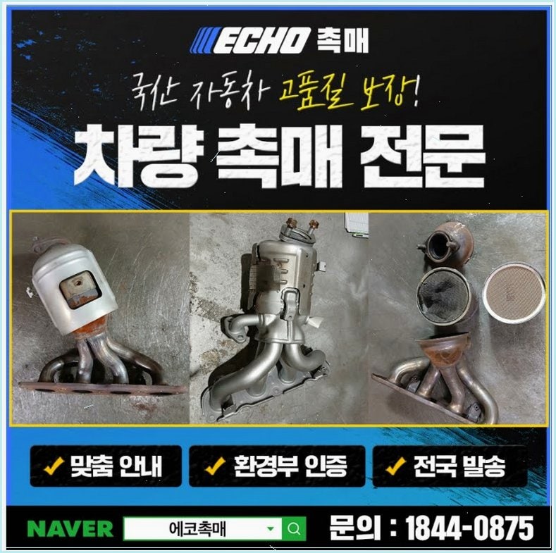 망월동 사진 6
