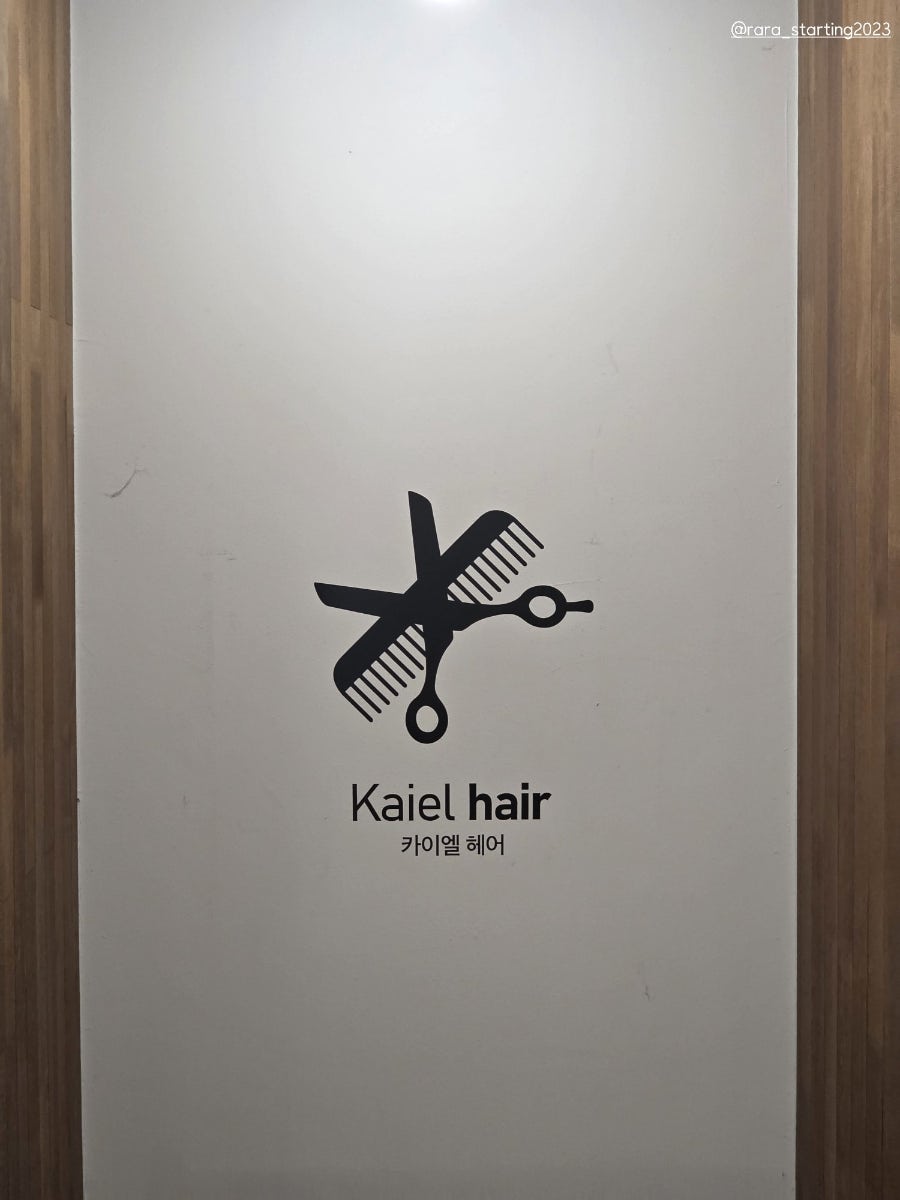 부평문화의거리 사진 4