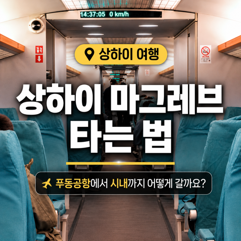 상하이 마그레브 타는 법 | 노선 시간표 요금 할인 정보