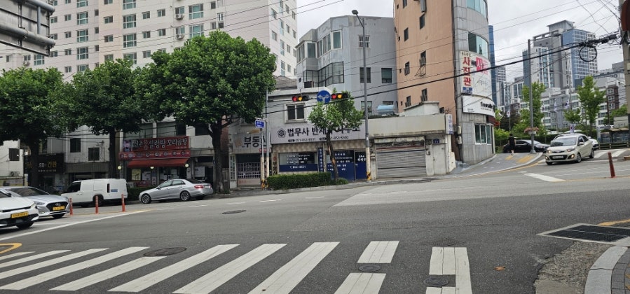 정심 사진 5