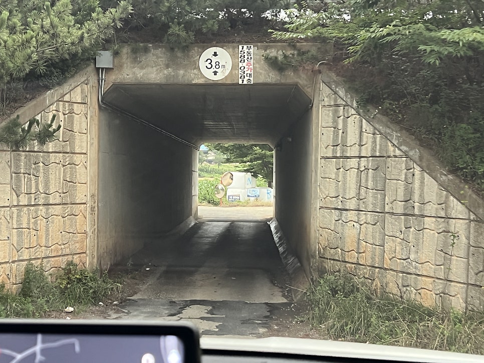 블루베리팜카페 사진 3