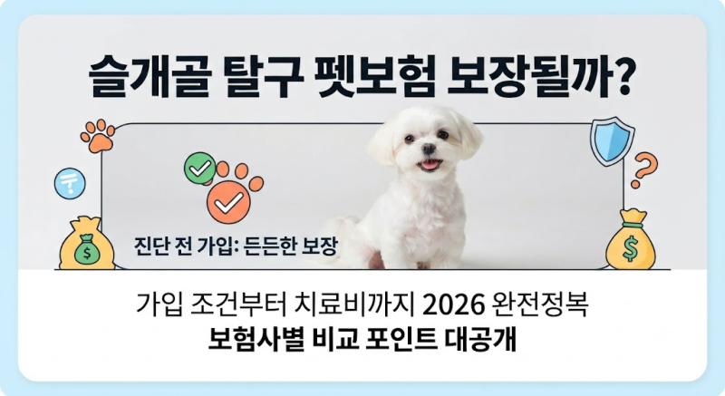 강아지 슬개골 탈구 펫보험 보장될까? 가입 전 꼭 알아야 할 조건부터 보험사 비교까지 (2부)