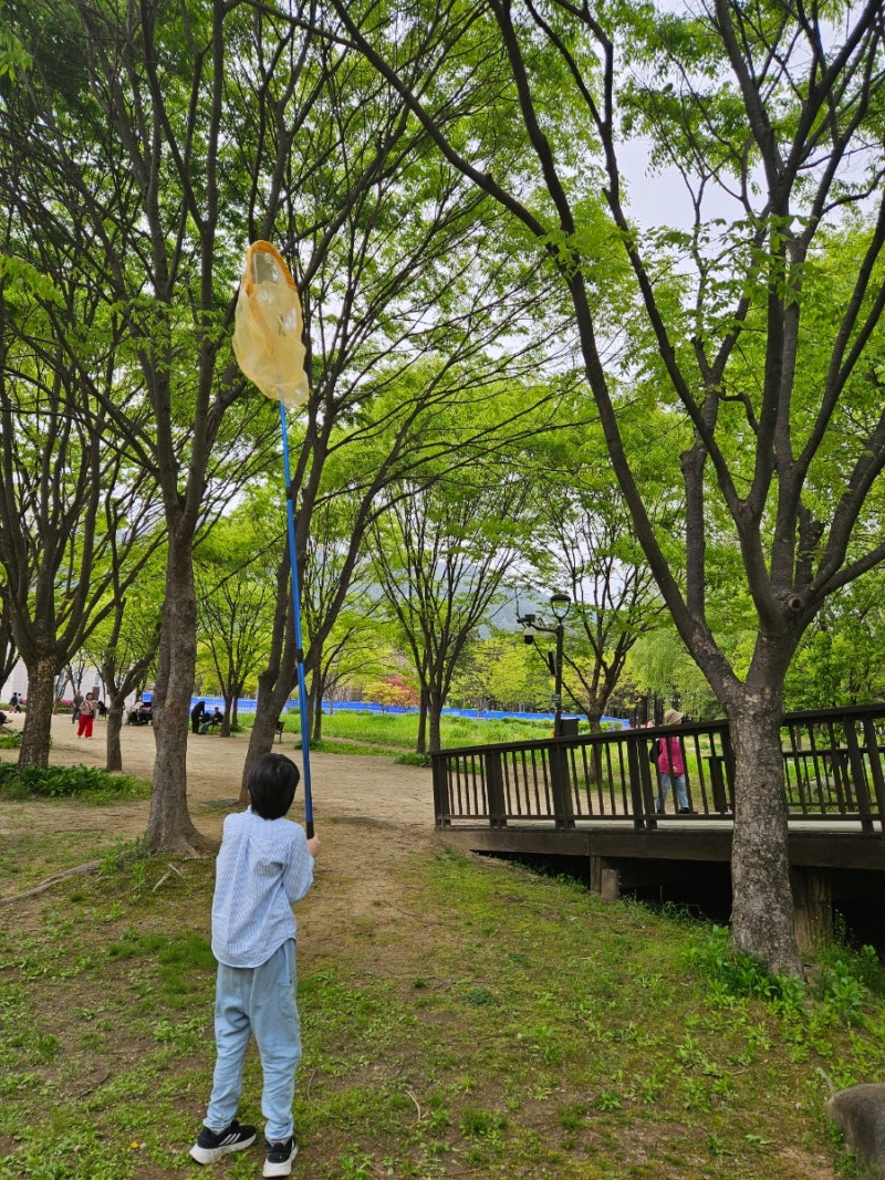 충우곤충박물관 대형 포충망 채집망 대형 잠자리채