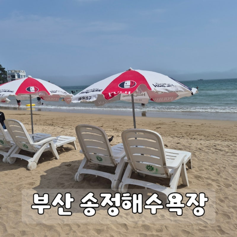 송정해수욕장 샤워장 파라솔 주차장 정보 | 부산 물놀이하기 좋은 바다