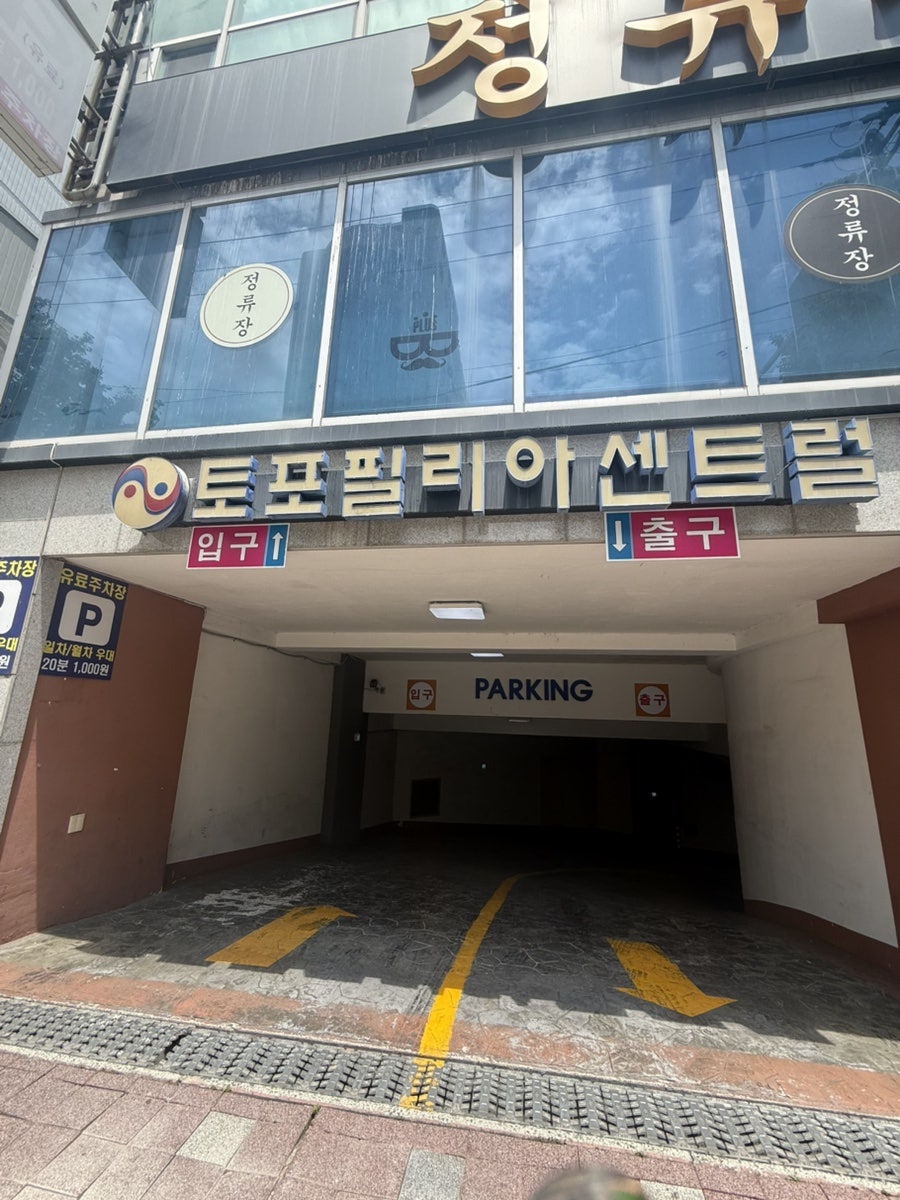 몽키브라운 사진 3