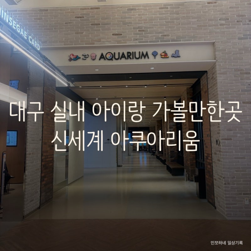 대구 아이랑 실내 가볼만한 곳 추천 ‘신세계 아쿠아리움’ 관람 꿀팁 위시캣 특별전